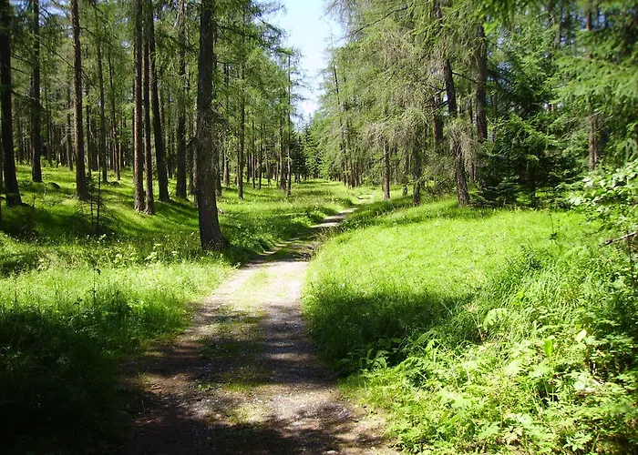 Haus Monika Апартаменты